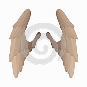 Pair of bird wings icon, cartoon style