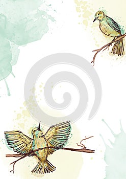 A pair of birds on a tree branch, on a white background, a template for a postcard, text