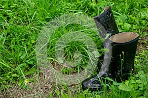 A pair of black rubber boots in the green grass