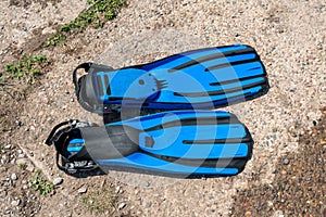 A pair of blue diving fins lies on a concrete slab on a sunny summer day