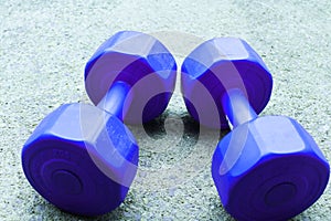A pair of blue dumbel on the floor.