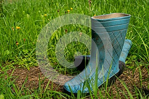 A pair of blue rubber boots in the green grass