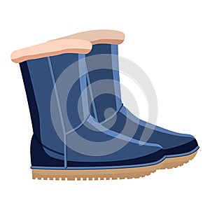Pair of blue winter shoes icon, cartoon style