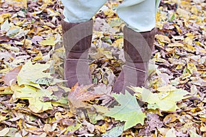 Pair of boots standing on forest ground with colorful leaves