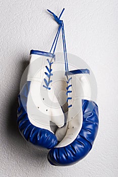 Pair of boxing gloves