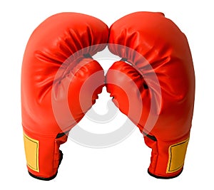 Pair of Boxing Gloves