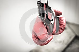 Pair of boxing gloves photograph