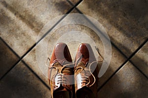 Pair of brogue style shoes.