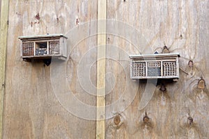Pair of bug houses on a wooden backboard