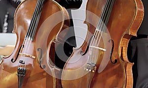 Pair of cellos in an oblique vertical position approximately parallel