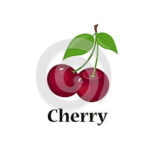 Pair of cherries, isolated vector