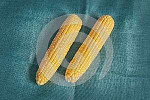 Pair of cobs of young and yellow corn on a dark background