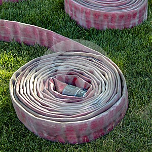 Pair of coiled firehose on sunlit grassy ground