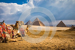 A pair of colorful blanketed camels rest before their next riders at the Giza Pyramids