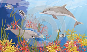 A pair of Common bottlenose dolphin Tursiops truncatus swims near a coral reef. Sea bottom with corals, algae and tropical fish