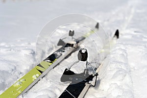 Pair of Cross Country Skies on Snow