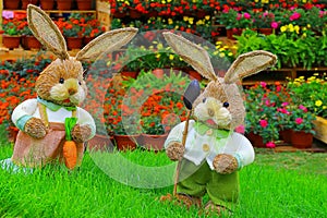 Pair of cute little easter bunnies