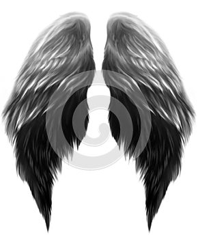 Painted Angel Wings