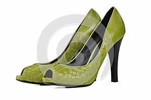 Pair of dress women shoes