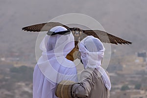 A pair of Emirati falconers hold a peregrine falcon  Falco peregrinus in the United Arab Emirates UAE a culture and tradition