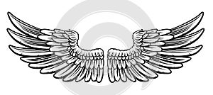 Pair of Etched Wings photo