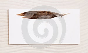 Pair of feathers on a white beige empty background or frame. Ide