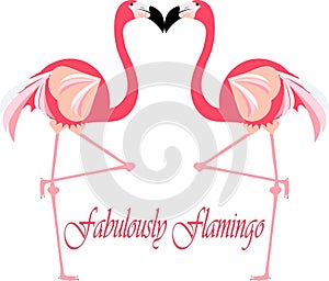 Pair of Flamingo Birds Standing Illustration