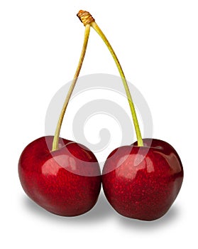 Pair fresh cherries on white with clipping path