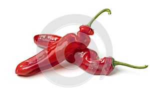 Pair of fresh red pointed bell pepper close up on white background