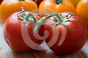 Pair of fresh wet red tomatoes