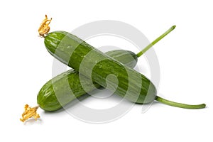 Pair of fresh young homegrown green small cucumbers with flowers close up on white background