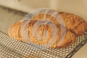 Pair of freshly baked artisanal bread loaves on a wire rack