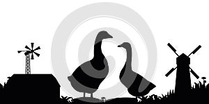 Pair of geese grazing Near farmer buildings. Scenery silhouette. Rural landscape. Agricultural farm bird. Object