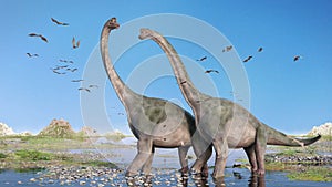Couple of Brachiosaurus altithorax and a flock of Pterosaurs in a scenic Late Jurassic landscape photo
