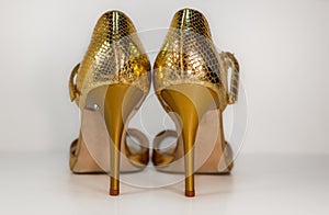 Pair of gold tango shoes - beautiful dance from Argentina