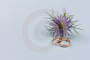 A pair of gold wedding rings with a blue flower on a blue background with a copy space.