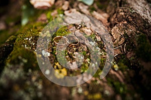 A pair of gold wedding rings on a brown background. Wedding rings on wooden background