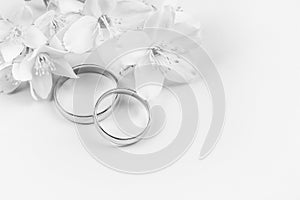 Pair of gold wedding rings and white Jasmine flowers on white background with copy space