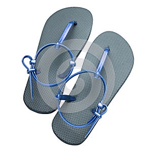 Pair of gray and blue slippers isolated