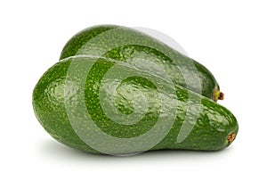 Pair of green avocado