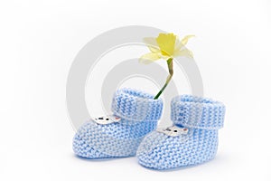 A pair of handmade blue knitted baby booties and yellow daffodil flower, isolated on white background. Newborn clothing