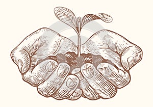 Pair of hands holds soil from center of which young sprout of plant. Farmer holding seedling. Clipart sketch