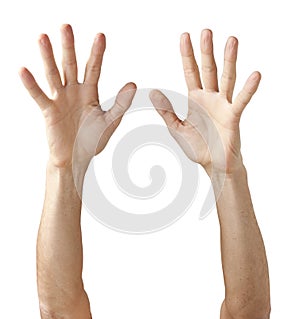 Pair of Hands Reaching Up