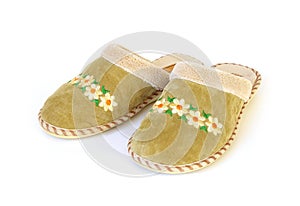 Pair slippers isolated