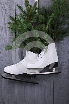 Pair of ice skates with fir branches hanging on grey wooden wall