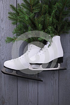 Pair of ice skates with fir branches hanging on grey wooden wall