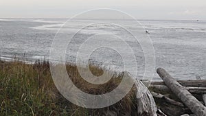 a pair of kayaks rowing along the coastline in the northwest