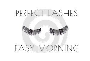 Pair of long false lashes over the white background