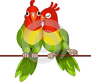 Pair of lovebirds