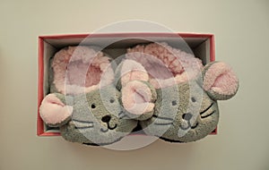 Pair of mouse slippers on white background.